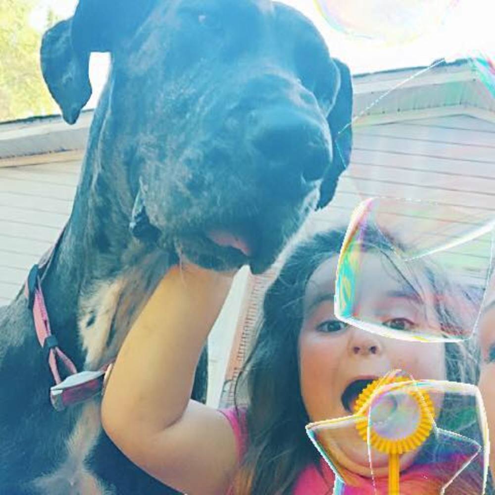 Meet your Posher, Dallas